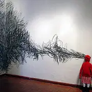 _太阳我闻到了你的味道