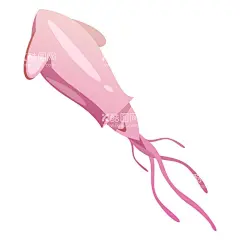 海鲜   - 源文件下载【酷图网】海鲜,食物,海产食物,鱼虾蟹贝,料理,动物,海产品,