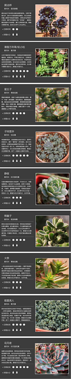 惠子（Anne）采集到多肉微景观