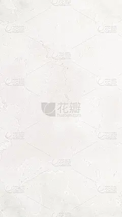 纯色墙纸上的浅灰色布局