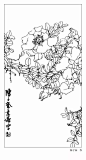 白描画谱：花卉白描