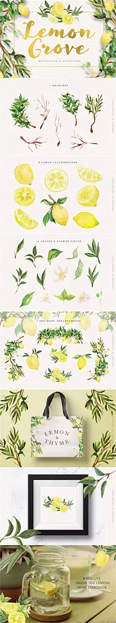 柠檬树水彩插画