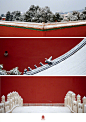 十一月的尾巴，#紫禁城的初雪#怎么都看不够！ ​​​​