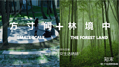 可可爱爱景观人儿采集到概念