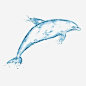 水滴海豚高清素材 动物 可爱 水滴 海豚 元素 免抠png 设计图片 免费下载 页面网页 平面电商 创意素材