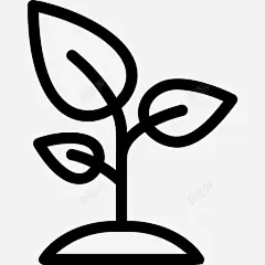 园艺农业植物 种子 icon 图标 标识 标志 UI图标 设计图片 免费下载 页面网页 平面电商 创意素材-花瓣网