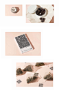 a recipe for wellness-良方-09