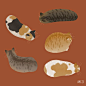 MIJI on Twitter: "Cat slug… "