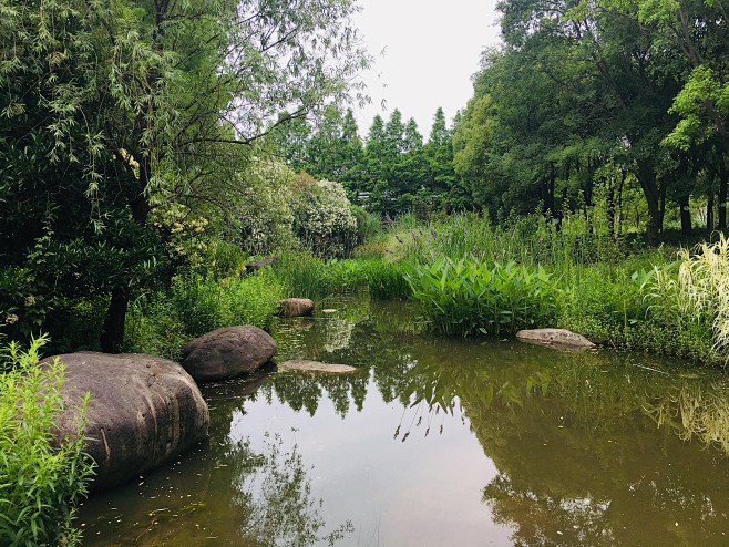 生态水岸