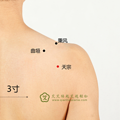 Riko丶采集到穴位