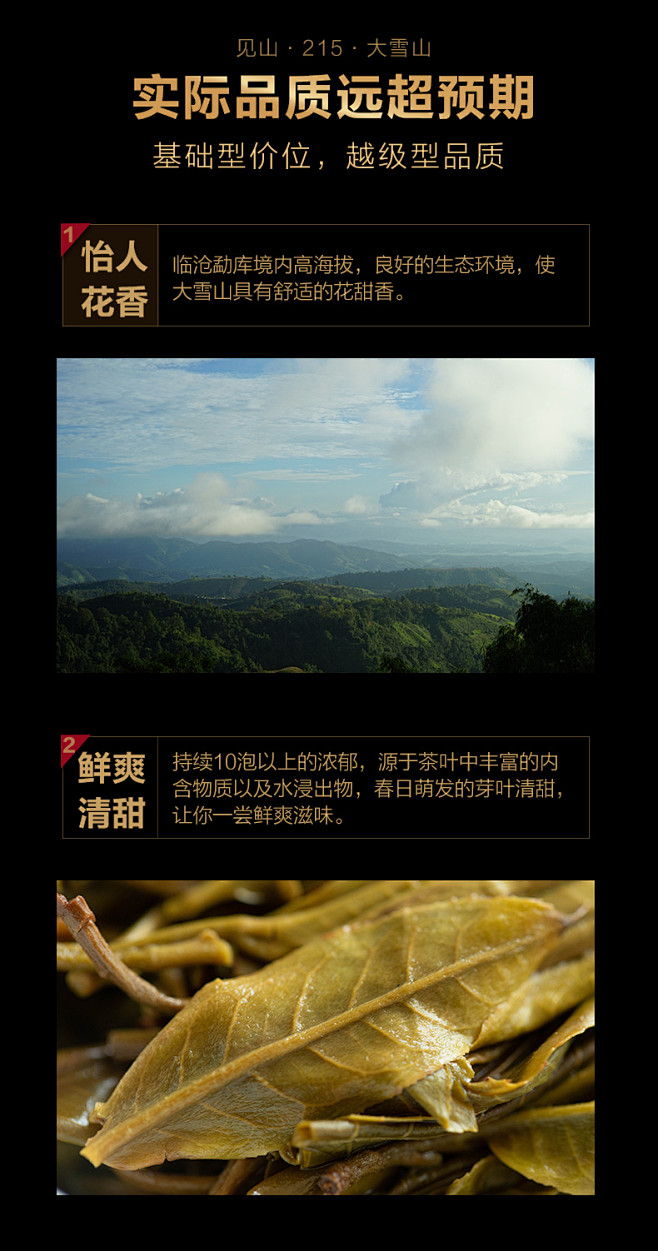 2020年春茶预售整提5片 215大雪山...