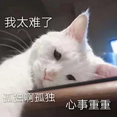 沙雕表情包更新，拿图互动

我太难了，孤独，心事重重
哎鸭
说完了吗
大哥，我好了
我好害怕...展开全文c
