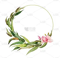 圆框架的小树枝和长长的桉树叶子和粉红色的木兰花。有一个地方放你的文本。这幅水彩插图是手工制作的。