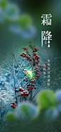 传统二十四节气霜降宣传海报