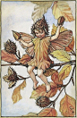 Cicely Mary Barker (222)