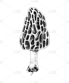 捡破烂的小芒果采集到芜湖