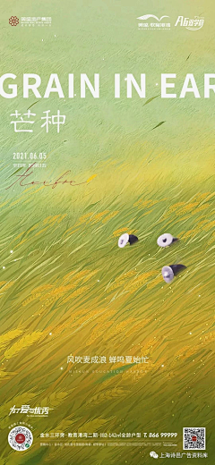 夏木枕上采集到插画—海报