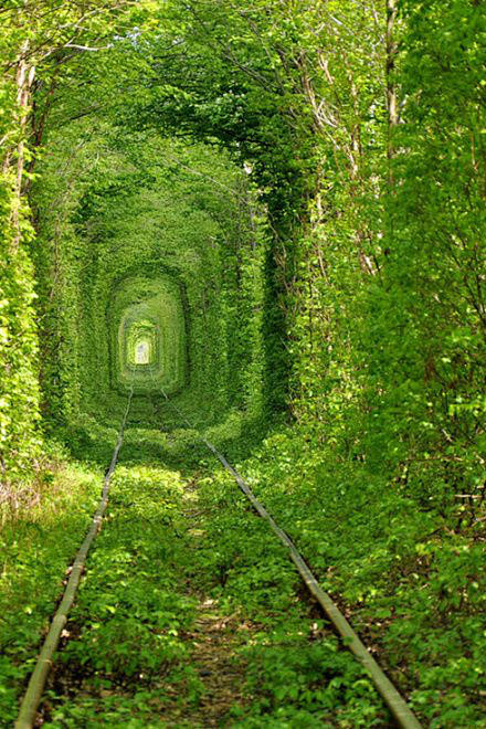 乌克兰。Kleven。“爱的隧道”