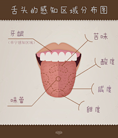 庄小楠采集到素材