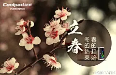 coolpad官方微博 -2015年二十四节气-立春海报