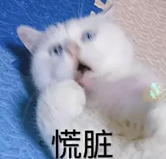 微信 QQ 搞笑 表情包 哈哈 (2973)