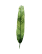 水彩羽毛 彩色羽毛 素材 羽毛 花羽 唯美羽毛 水彩素材 手绘素材 飘落 #彩色羽毛# #羽毛PNG# #羽毛# #素材# #PNG素材# #装饰素材# #水彩元素# #设计素材# #点技能# #dianjineng.la# 更多素材尽在【点技能】