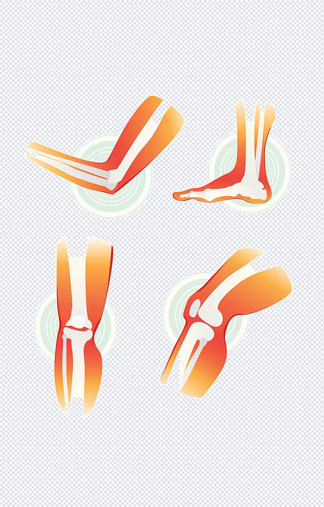人体关节插画|关节炎,手臂,跟腱,小腿骨...