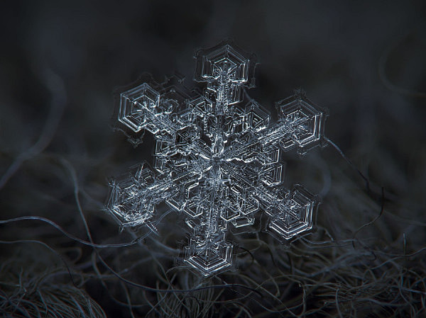 科学家们给雪花的形状分类