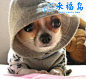 搞笑图片