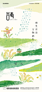谷雨节气海报 谷雨 二十四节气 麦子 雨滴 插画 简约