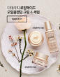 더테라피 오일 블렌딩 라인