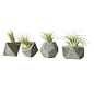 Anson Design CO - Concrete Gem Party Favors, Geometric Planters, Eco Friendly, Sacre, Set of 4 - Inspired by sacred geometry, this set of 4 concrete planters are powerful architectural blueprints we find in nature everyday.