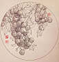 钢笔花卉白描达人叶志军先生的钢笔画分享