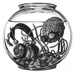 来自Olivia Knapp 的黑白插画作品～ 惊人的是，她直接以手绘的方式模仿16-17世纪欧洲铜版画大师们的精湛排线！重点是她做到了，多么稳定的手腕啊！（oliviaknapp.com）【相关推荐：http://weibo.com/3931672306/AAkzM53IJ】