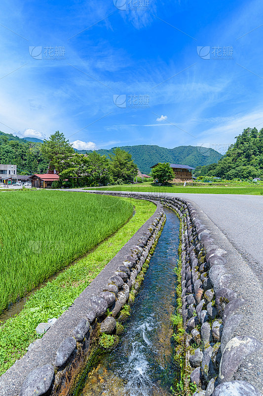 日本岐阜的白川夏季