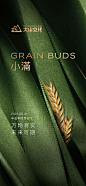 小满节气海报-源文件
