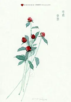 水彩花卉手绘插画水彩教程花朵壁纸头像小清新治愈 | 小熊猫课堂 - 原创作品 - 涂鸦王国插画
