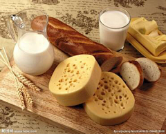 伊诺维斯采集到牛奶与奶酪