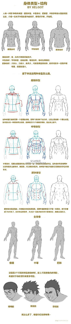 原生青采集到人体结构