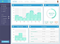 Data Analytics DasboardUI设计作品APP设计app界面首页素材资源模板下载