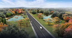 小野的路边花采集到道路