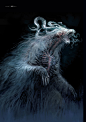 image00259