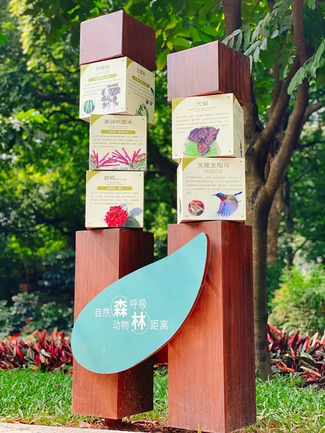 花瓣网 - 陪你做生活的设计师（创意图片大全、设计灵感图库、高清图片素材）