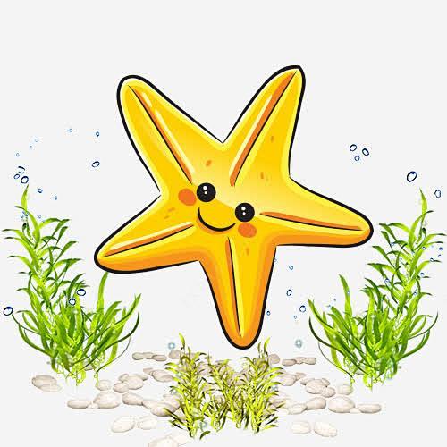 海星卡通海洋生物海洋世界 海洋背景 海洋...