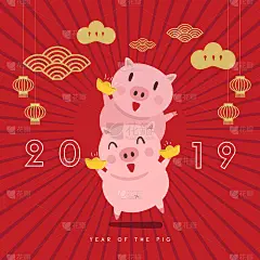 2019新年快乐!中国新年。猪年到了。