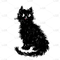 猫,分离着色,可爱的,轮廓,白色,宠物,创造力,简单背景,图像,坐