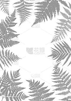 蕨类,叶子,背景,复叶,华丽的,请柬,环境,植物群,模板,枝繁叶茂