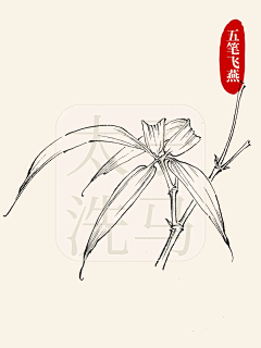 用户t0GCXivn采集到树叶