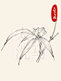 国画入门｜竹子9式白描/线描合集干货‼️