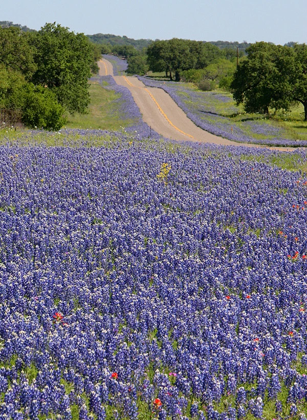 America's Best Spring Drives-花瓣网